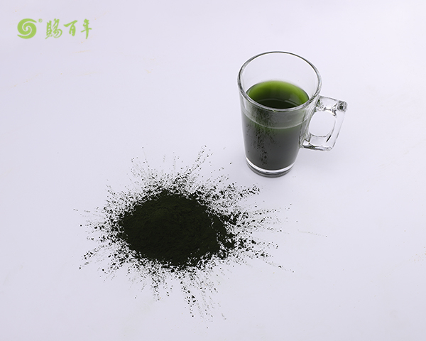 臺(tái)州螺旋藻蛋白質(zhì)粉公司