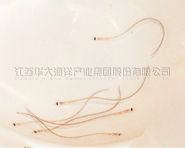 鰻魚(yú)苗